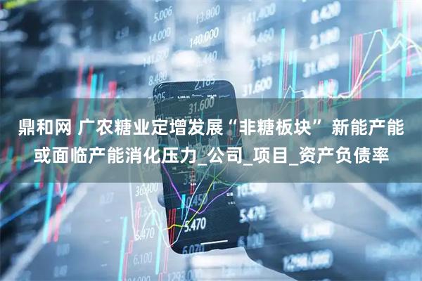 鼎和网 广农糖业定增发展“非糖板块” 新能产能或面临产能消化压力_公司_项目_资产负债率