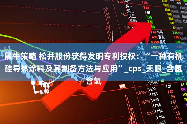 黑牛策略 松井股份获得发明专利授权：“一种有机硅导热涂料及其制备方法与应用”_cps_天眼_含氢