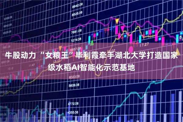 牛股动力 “女粮王”毕利霞牵手湖北大学打造国家级水稻AI智能化示范基地