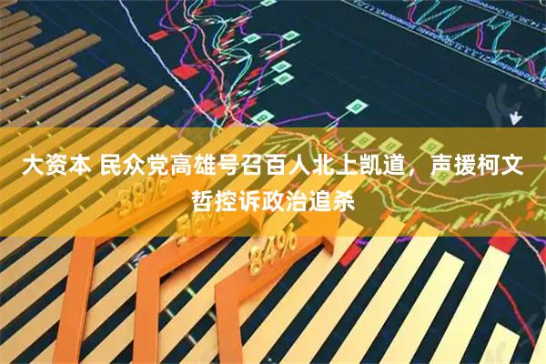 大资本 民众党高雄号召百人北上凯道，声援柯文哲控诉政治追杀