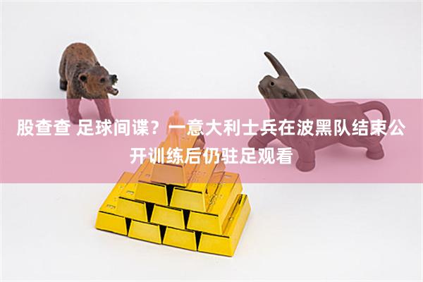 股查查 足球间谍？一意大利士兵在波黑队结束公开训练后仍驻足观看